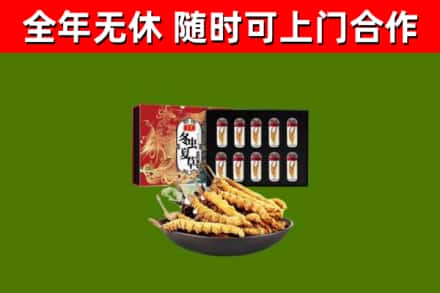 昌都回收冬虫夏草价格